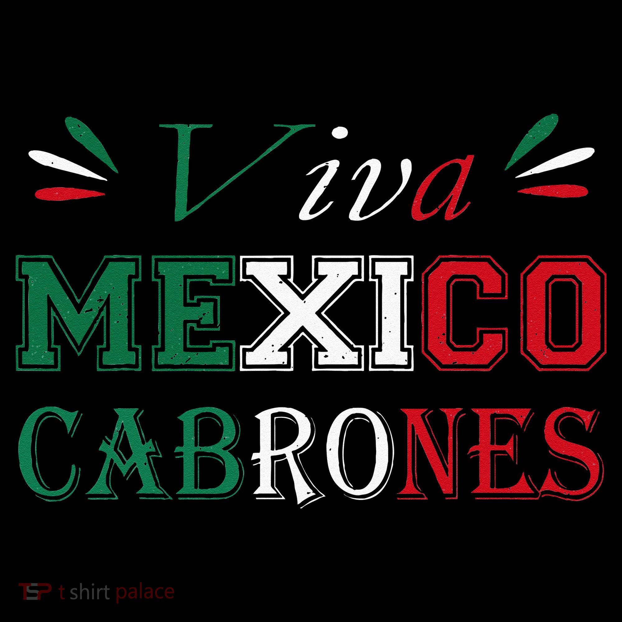Funny Viva Mexico Cabrones Mexico Independence Flag Pride Women's Long Sleeve Shirt