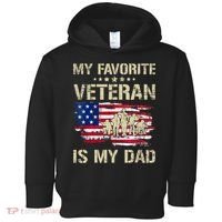 Father Veterans My Favorite Veteran Is My Dad Us Flag Toddler Hoodie thumb 0