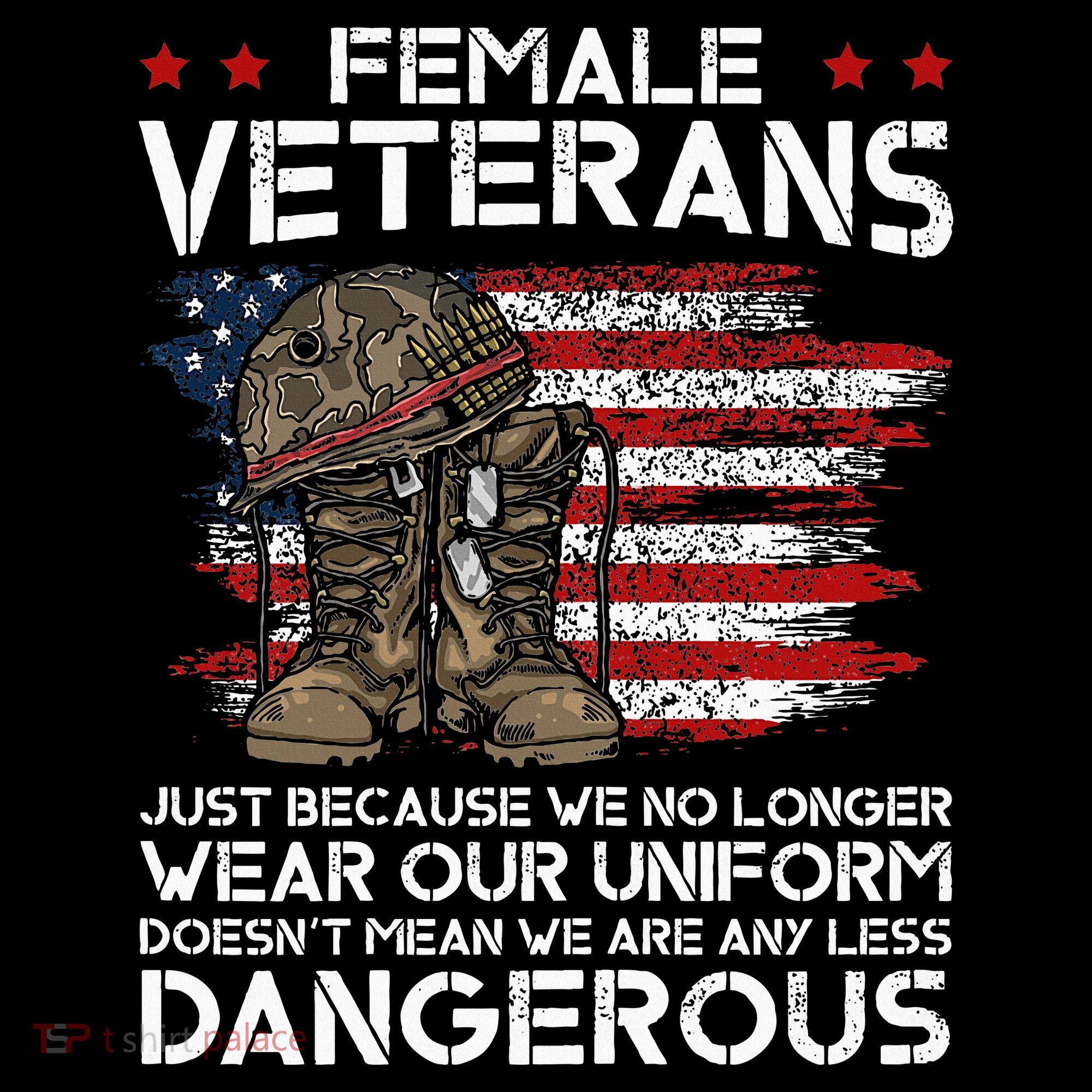Female Veterans Not Any Less Dangerous Women's Hoodie