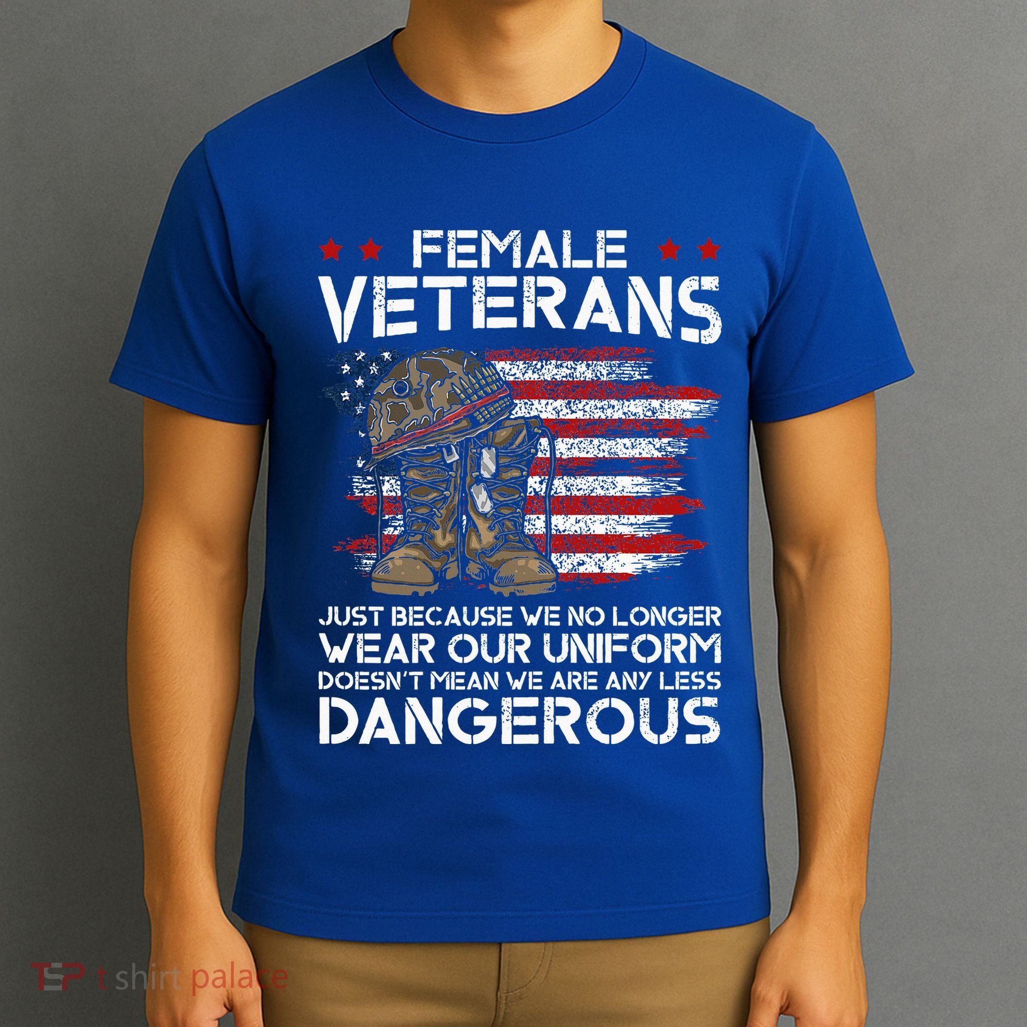 Female Veterans Not Any Less Dangerous T-Shirt