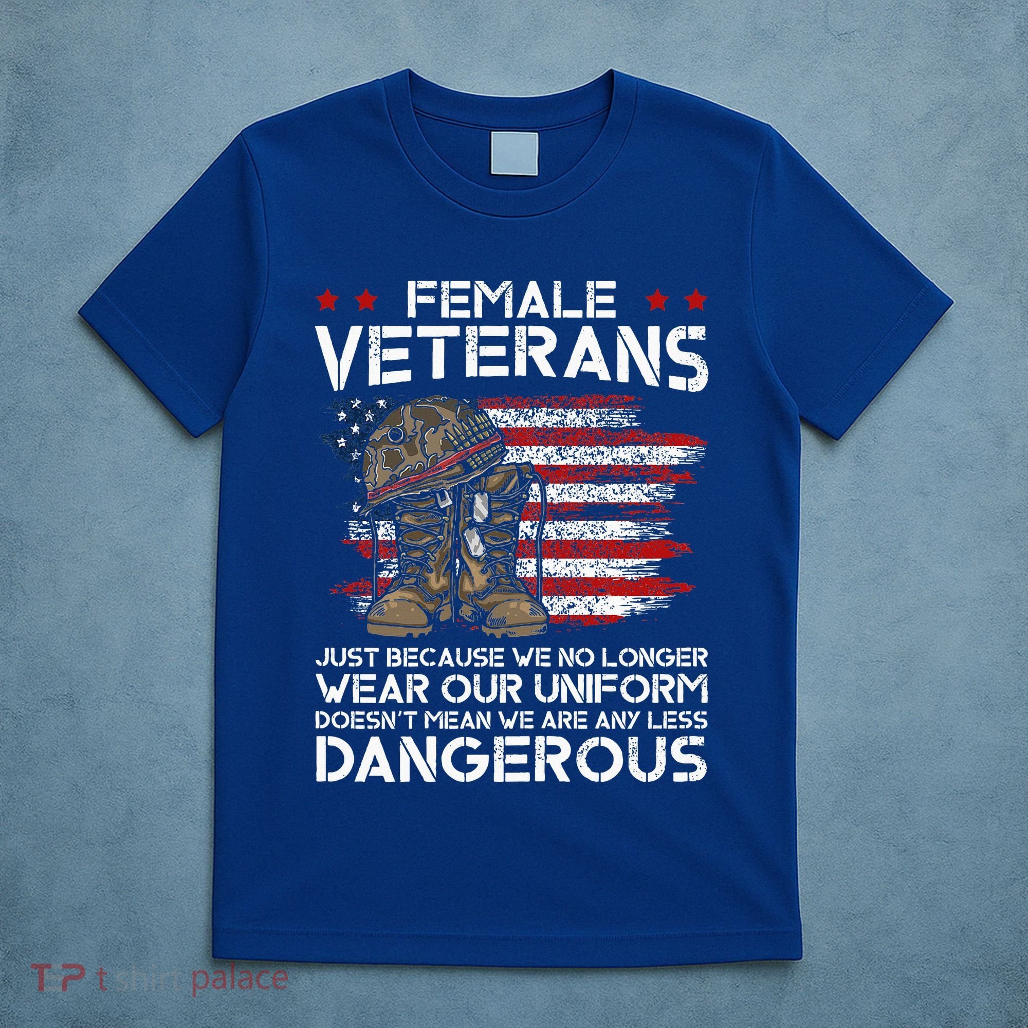Female Veterans Not Any Less Dangerous T-Shirt