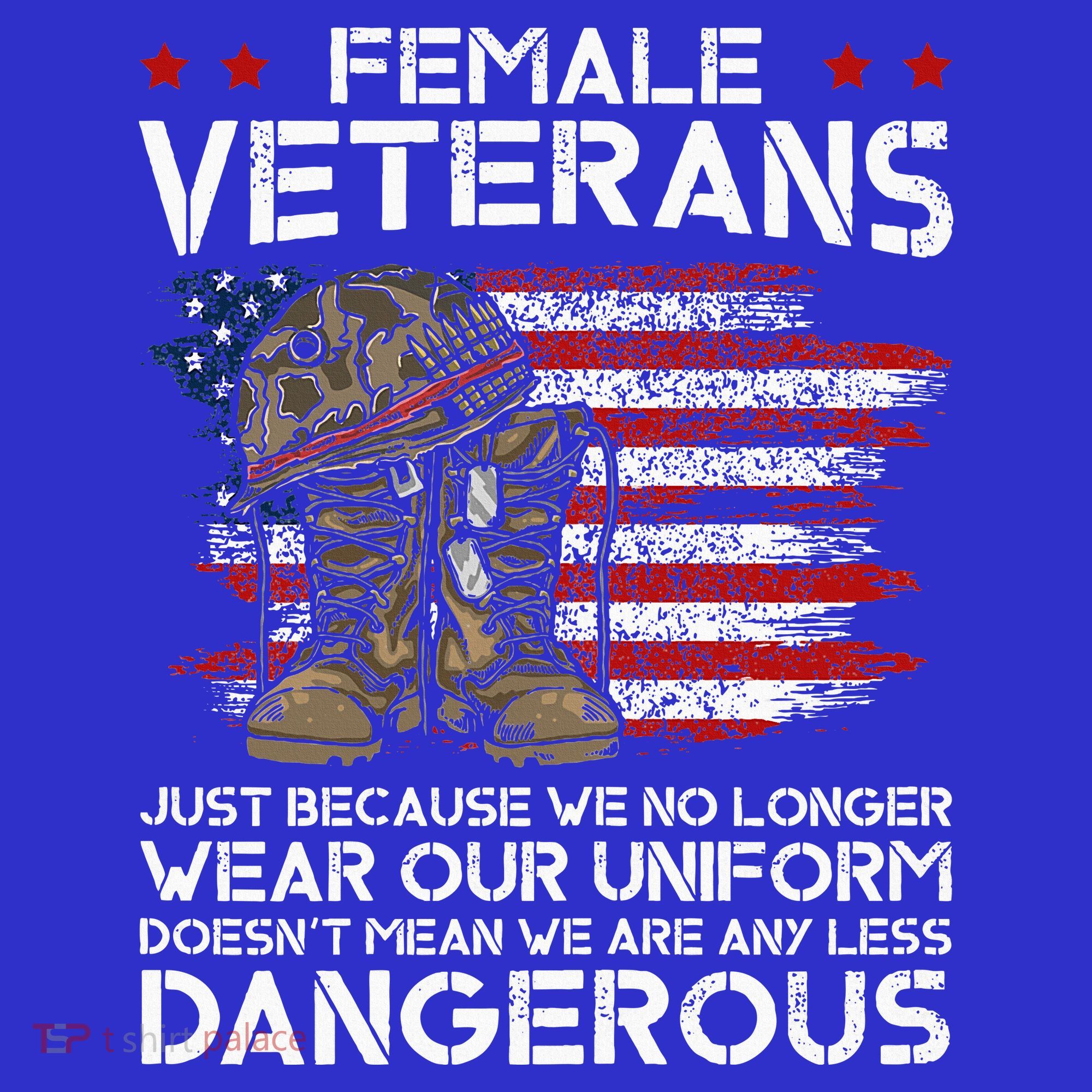 Female Veterans Not Any Less Dangerous T-Shirt