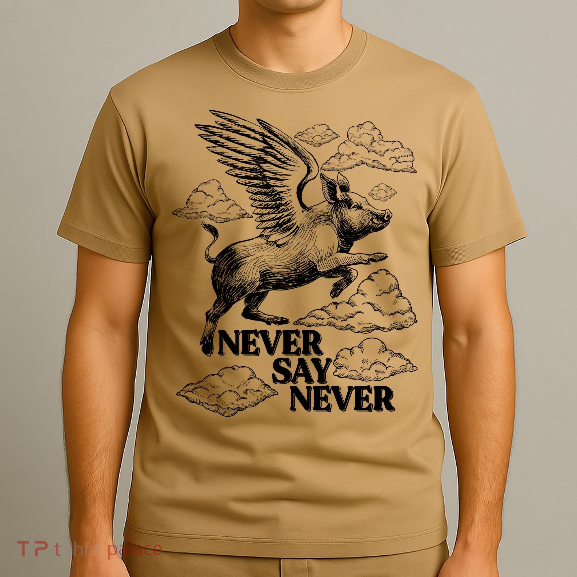 Funny Vintage Never Say Never When Pigs Fly T-Shirt