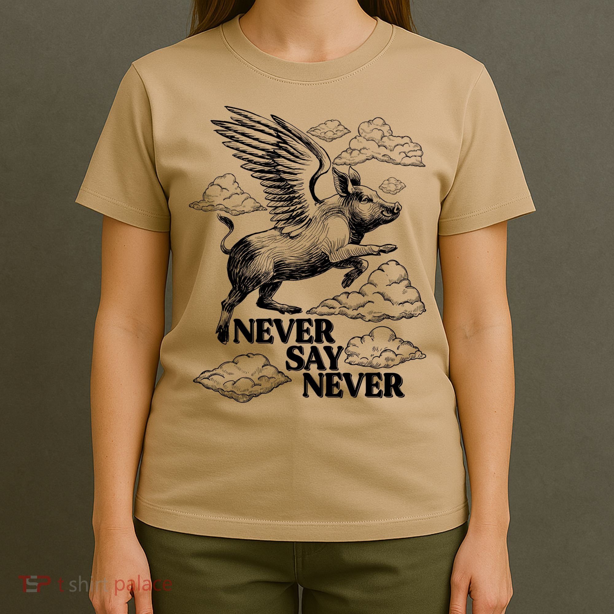 Funny Vintage Never Say Never When Pigs Fly T-Shirt