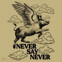 Funny Vintage Never Say Never When Pigs Fly T-Shirt thumb 7