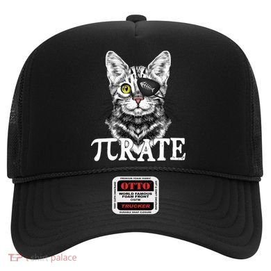 Funny Vintage Pi Day 314 PiRate Pirate Cat Hat
