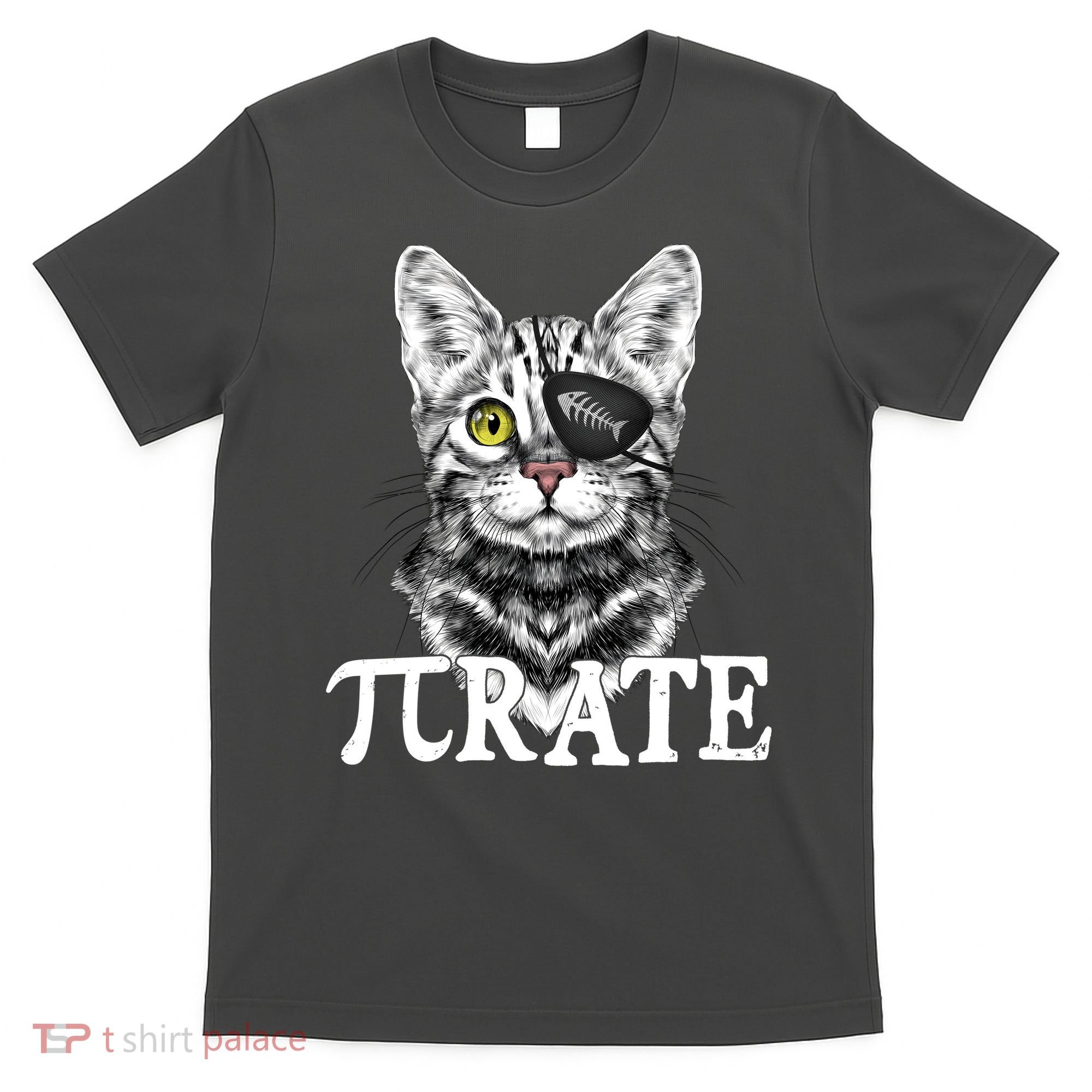 Funny Vintage Pi Day 314 PiRate Pirate Cat T-Shirt