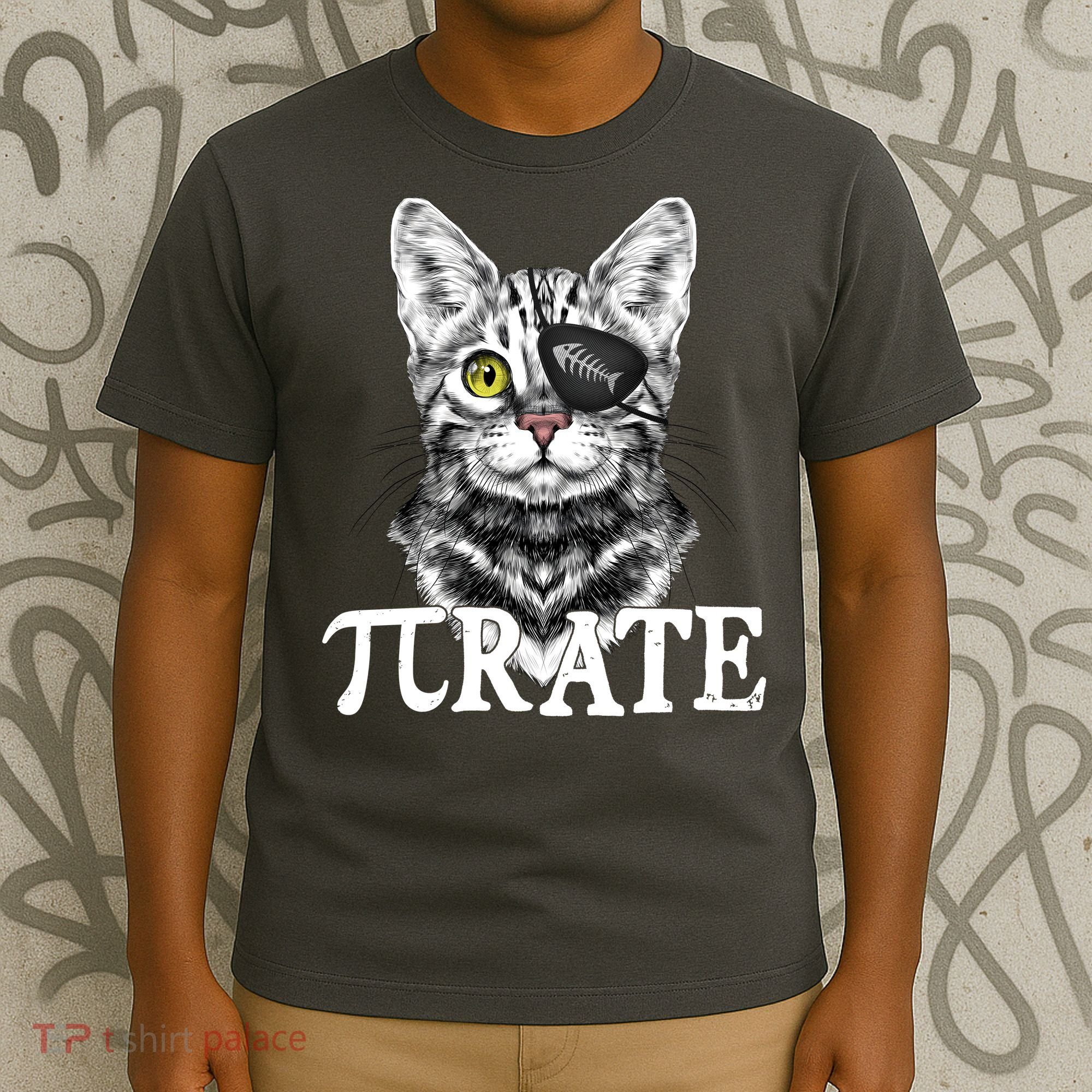 Funny Vintage Pi Day 314 PiRate Pirate Cat T-Shirt