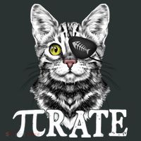 Funny Vintage Pi Day 314 PiRate Pirate Cat T-Shirt thumb 7
