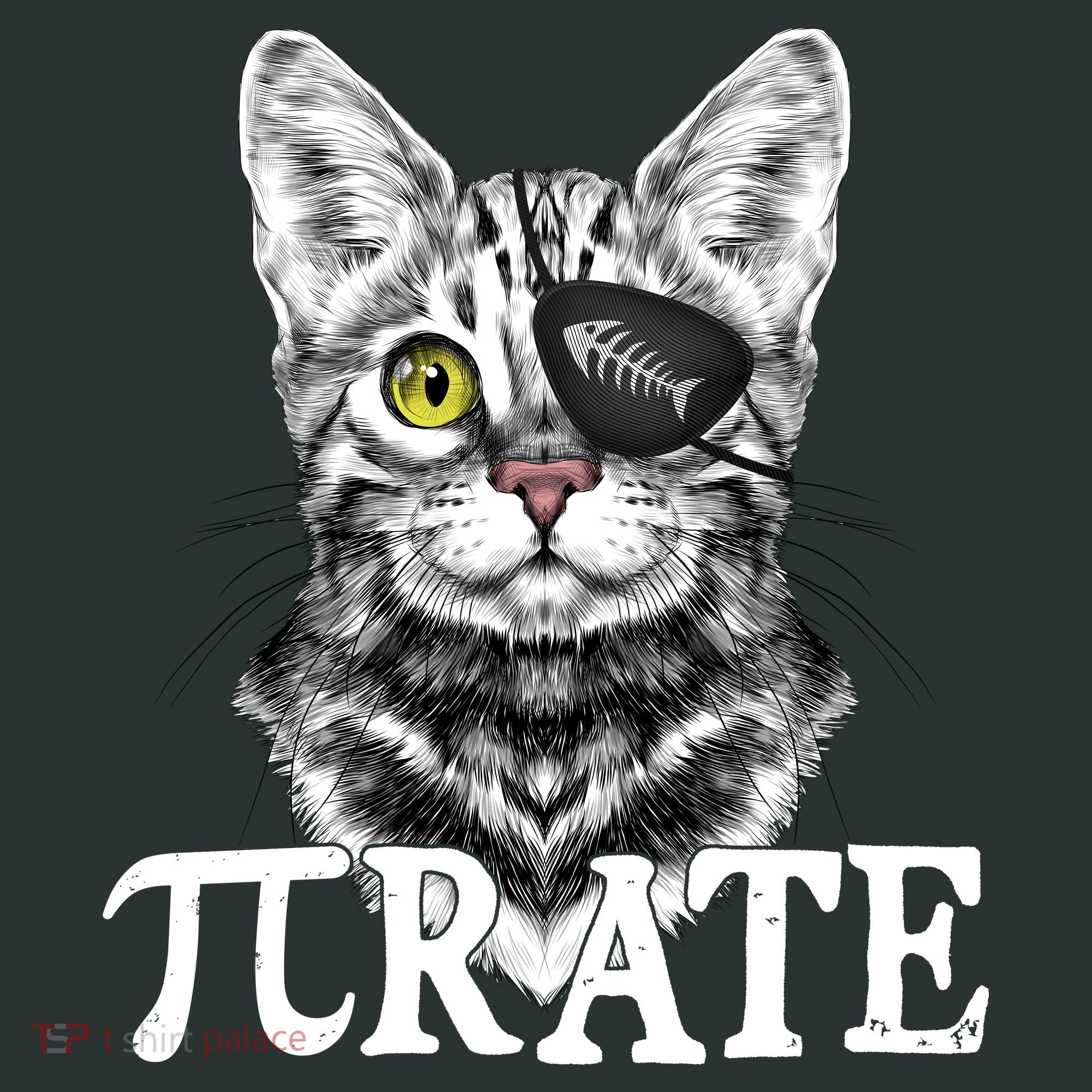 Funny Vintage Pi Day 314 PiRate Pirate Cat T-Shirt