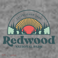 Family Vacation Retro Redwood National Park Toddler Hoodie thumb 2