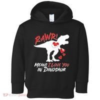 Funny Valentine Rawr Means I Love You In Dinosaur Trex Dinosaur Toddler Hoodie thumb 0