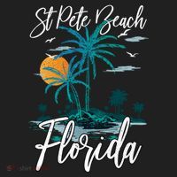 Family Vacation Retro Sunset Florida St Pete Beach Gift Women's Sweatshirt thumb 2