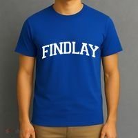Findlay Varsity Style Logo T-Shirt thumb 3