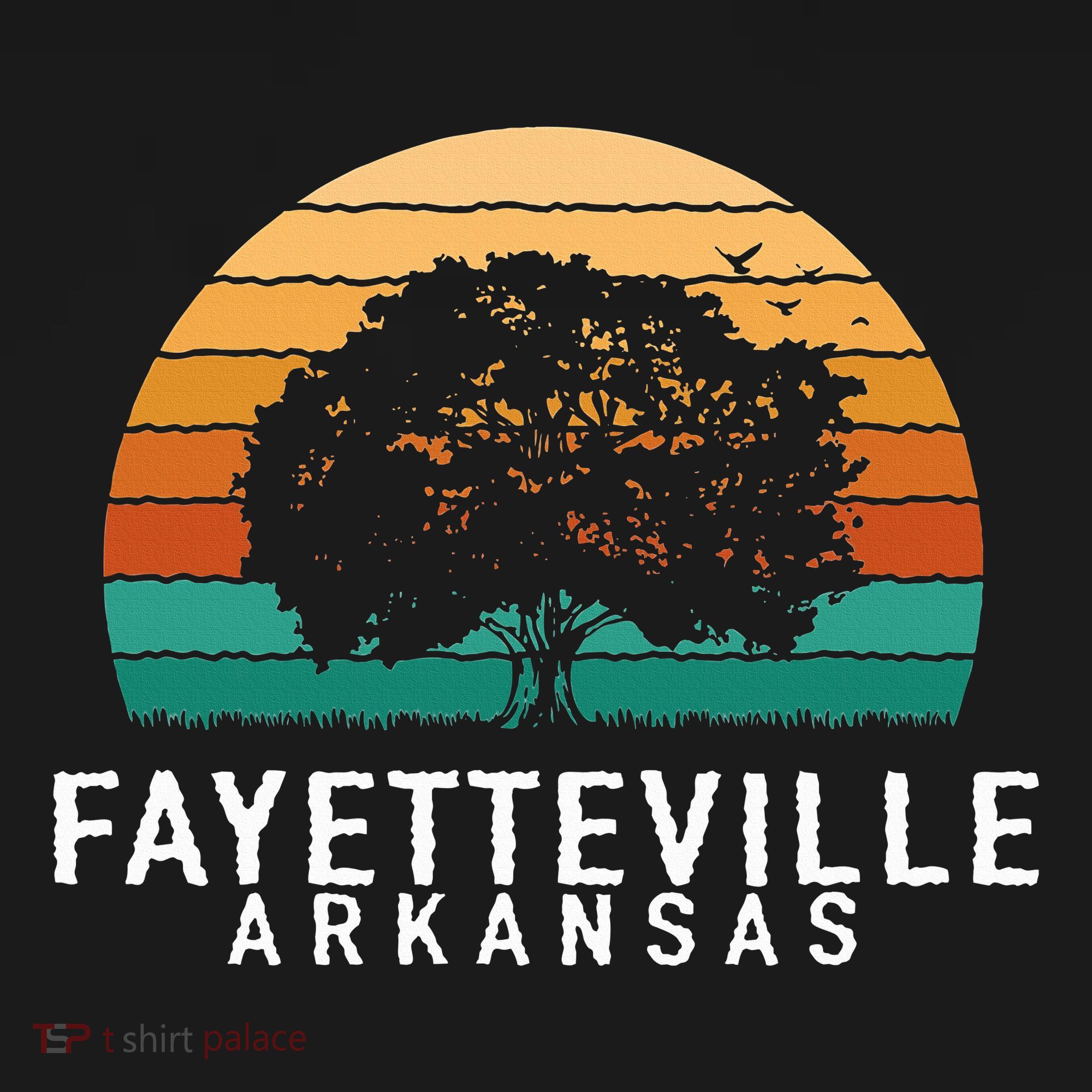 Fayetteville Vintage Sunset Arkansas Souvenir T-Shirt