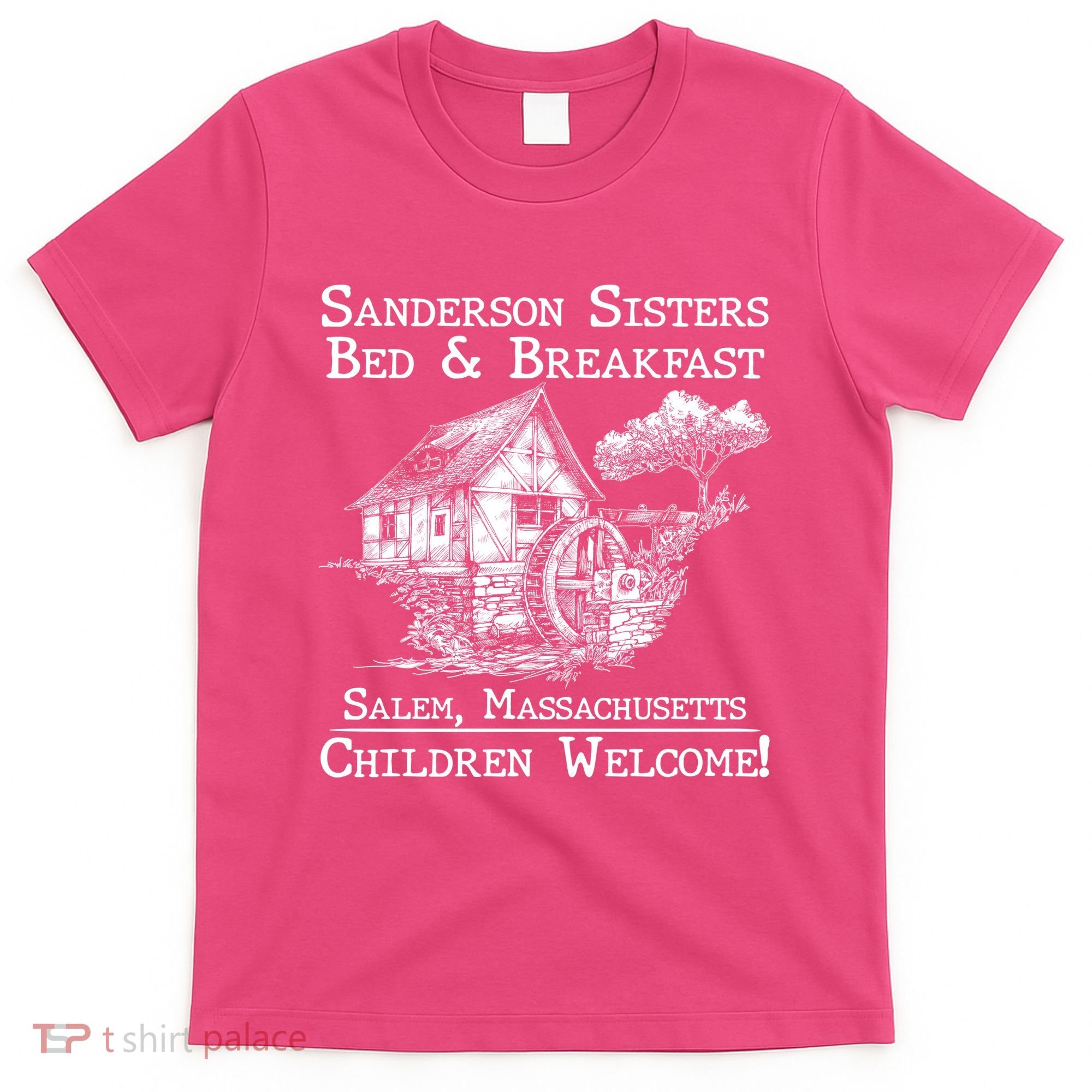 Funny Vintage Sanderson Sisters Bed And Breakfast T-Shirt