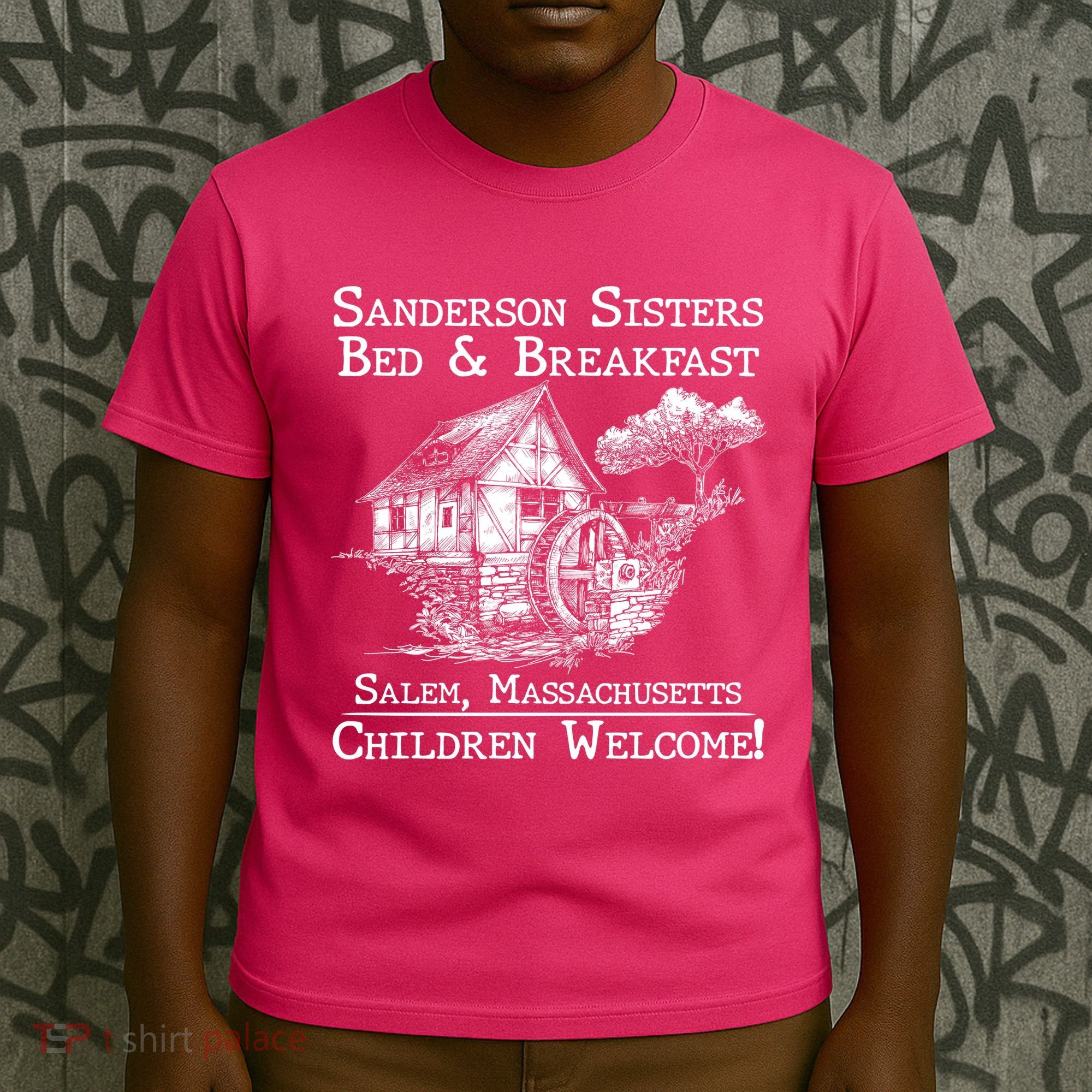 Funny Vintage Sanderson Sisters Bed And Breakfast T-Shirt