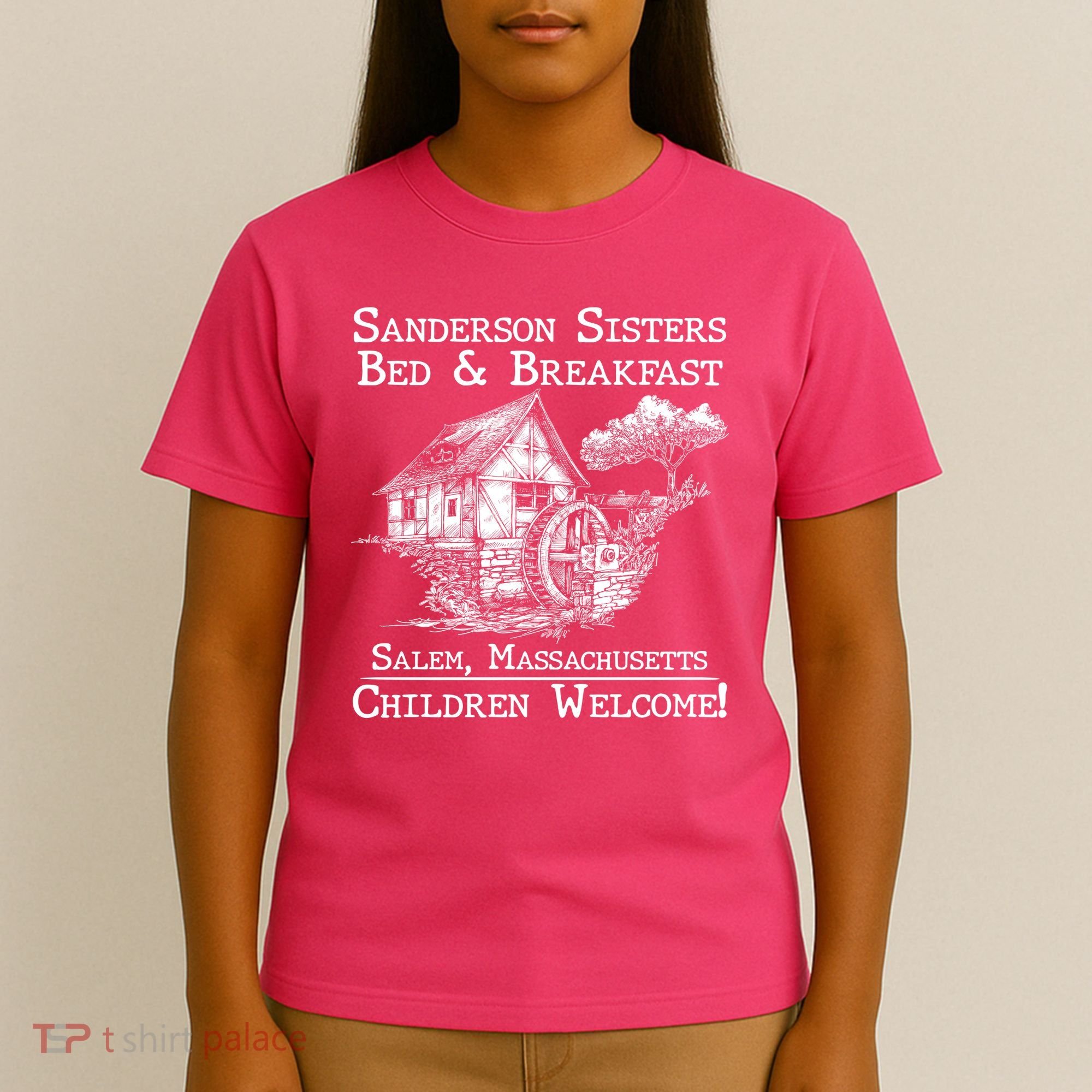 Funny Vintage Sanderson Sisters Bed And Breakfast T-Shirt