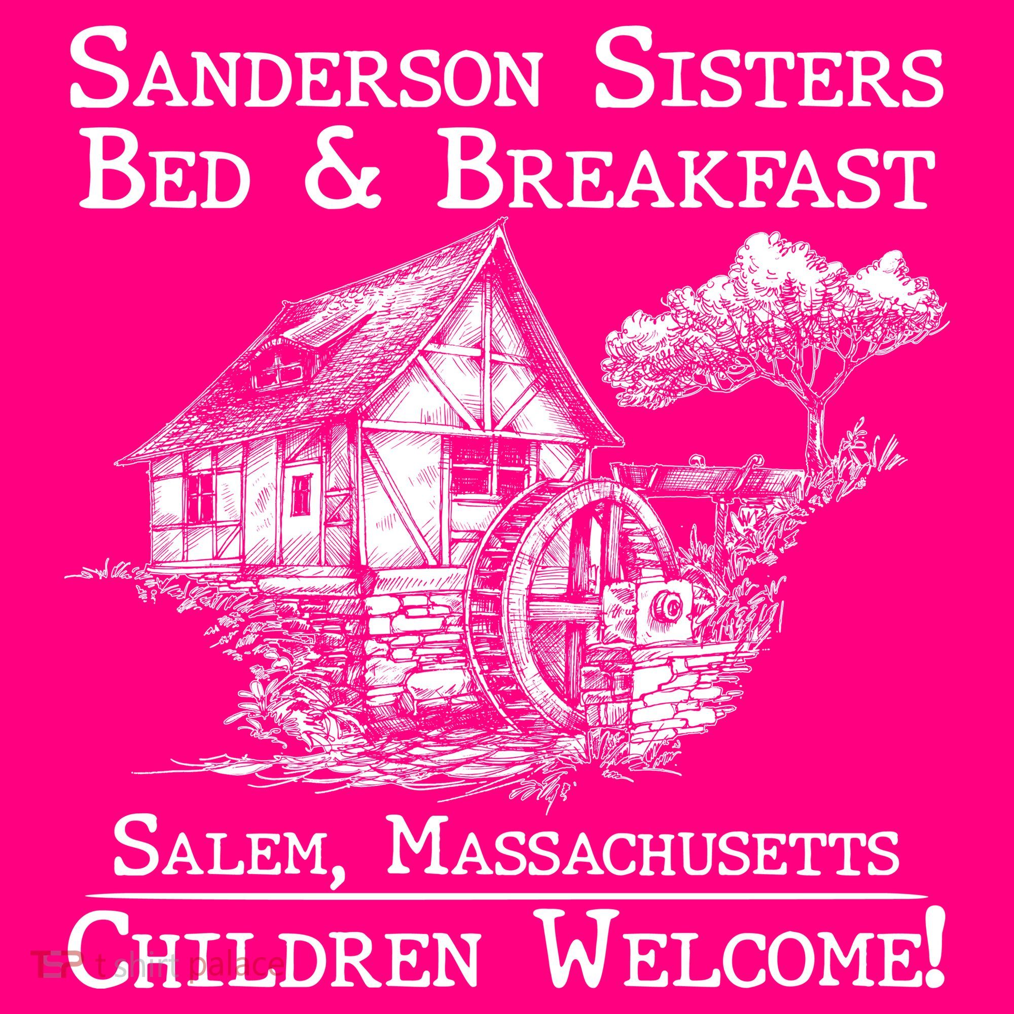 Funny Vintage Sanderson Sisters Bed And Breakfast T-Shirt