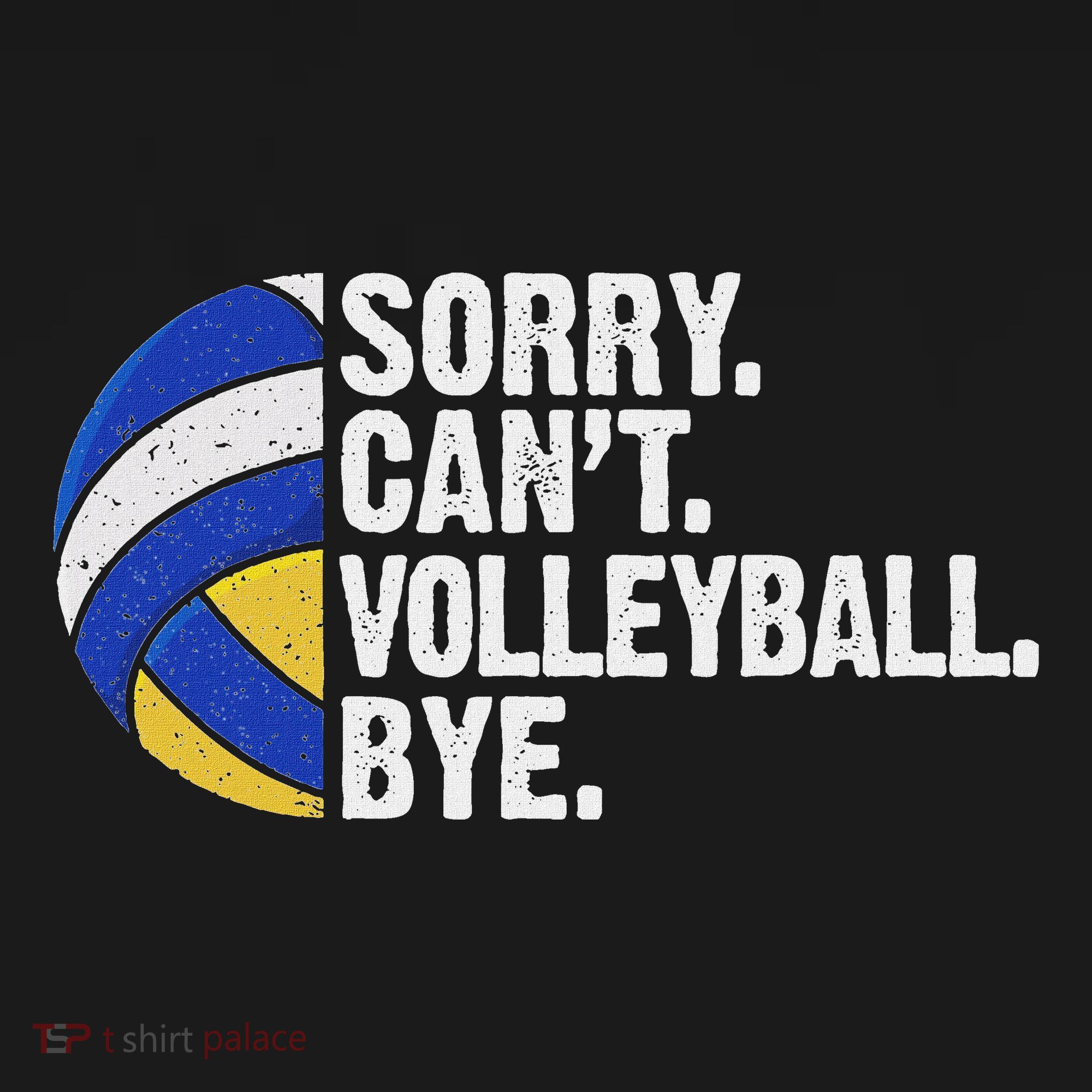 Funny Volleyball Sorry Cant Volleyball Bye Volleyball Lover Hoodie