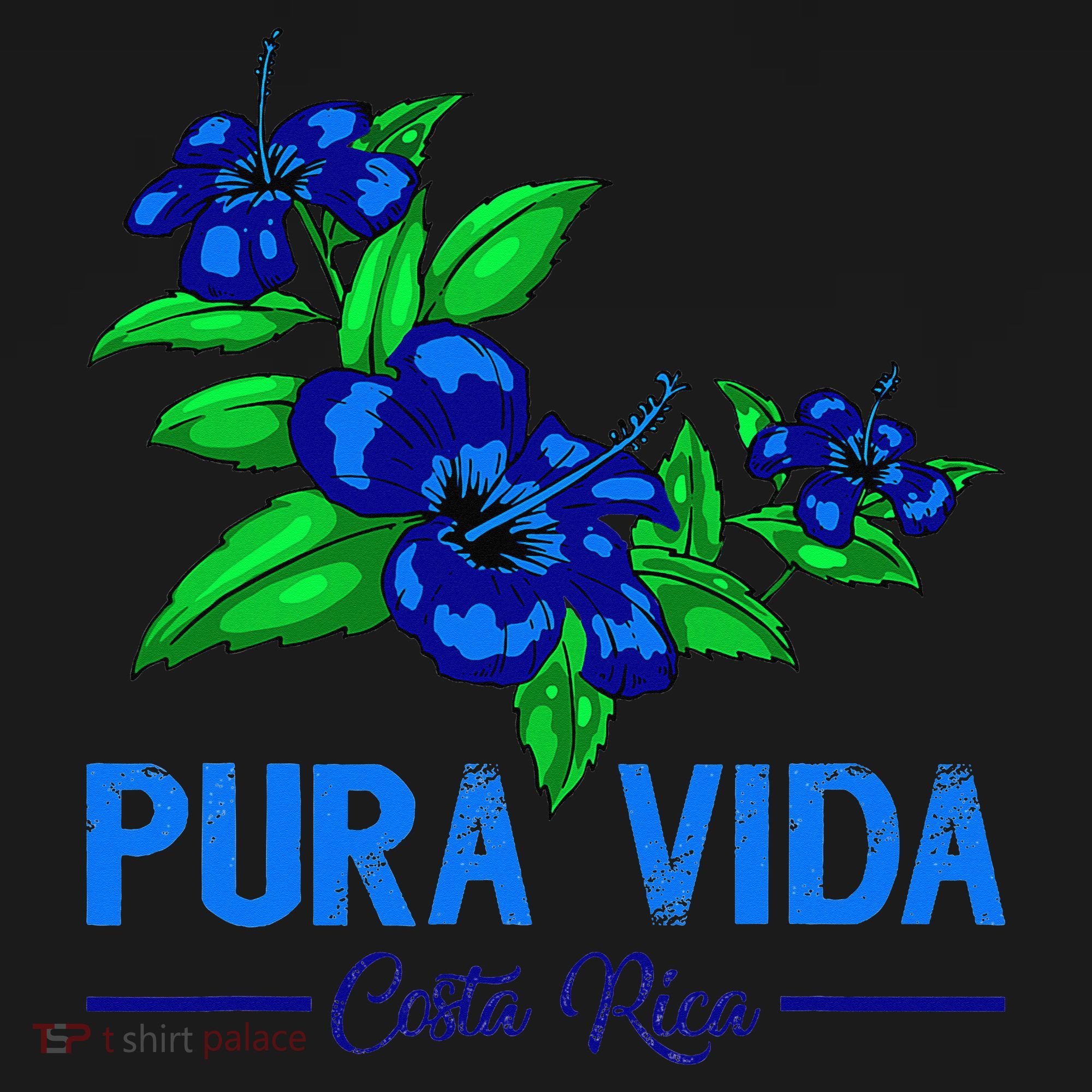 Family Vacation Tropical Flower Costa Rica Beach Pura Vida Women's Hoodie
