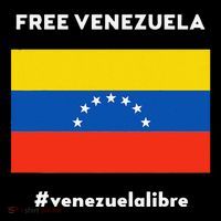 Free Venezuela Venezuela Libre Women's Hoodie thumb 2