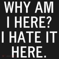 Funny Why Am I Here I Hate It Here Joke Sarcastic Family Gift Women's Hoodie thumb 2