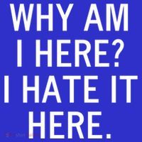Funny Why Am I Here I Hate It Here Joke Sarcastic Family Gift Sweatshirt thumb 3