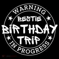 Funny Warning Bestie Birthday Trip In Progress Matching Tee Women's Hoodie thumb 2