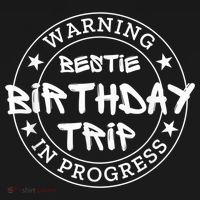 Funny Warning Bestie Birthday Trip In Progress Matching Tee Toddler Hoodie thumb 2