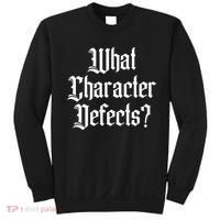 Funny What Character Defects Aa Na Sober Addiction Recovery Sweatshirt thumb 0