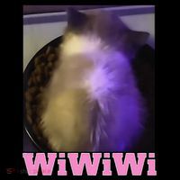 Funny Wiwiwi Cat Meme Viral Gen Z Trend Brainrot Coffee Mug thumb 5