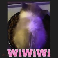 Funny Wiwiwi Cat Meme Viral Gen Z Trend Brainrot Beanie thumb 2
