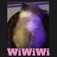 Funny Wiwiwi Cat Meme Viral Gen Z Trend Brainrot Women's Tank Top thumb 5