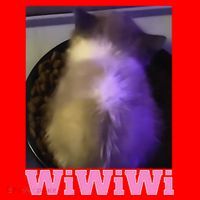 Funny Wiwiwi Cat Meme Viral Gen Z Trend Brainrot Santa Hat thumb 1
