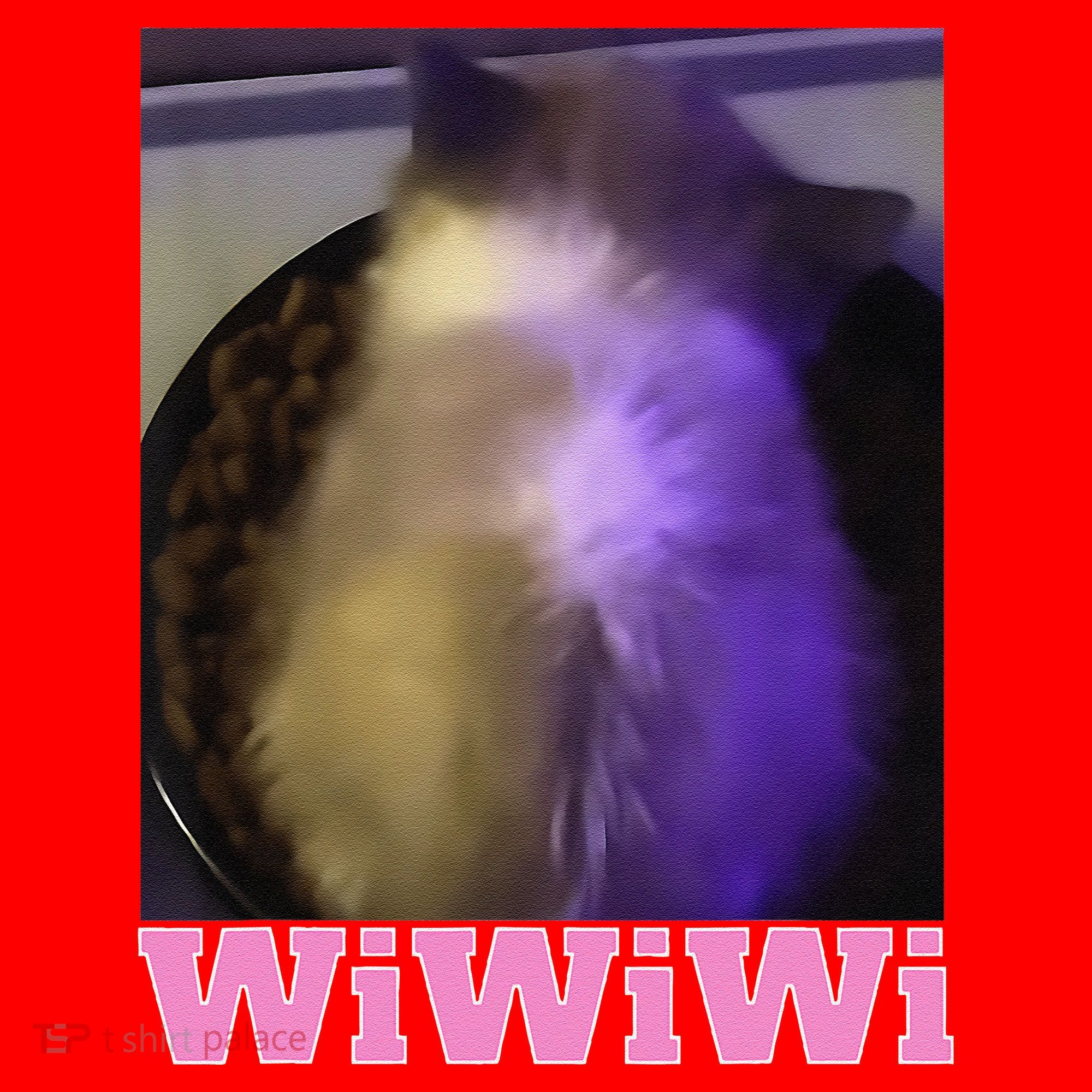 Funny Wiwiwi Cat Meme Viral Gen Z Trend Brainrot Santa Hat