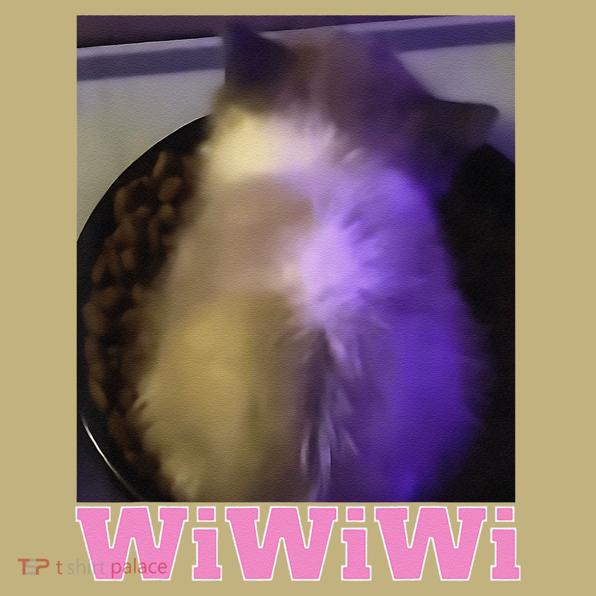 Funny Wiwiwi Cat Meme Viral Gen Z Trend Brainrot Hoodie