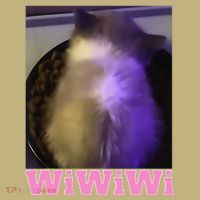 Funny Wiwiwi Cat Meme Viral Gen Z Trend Brainrot T-Shirt thumb 7