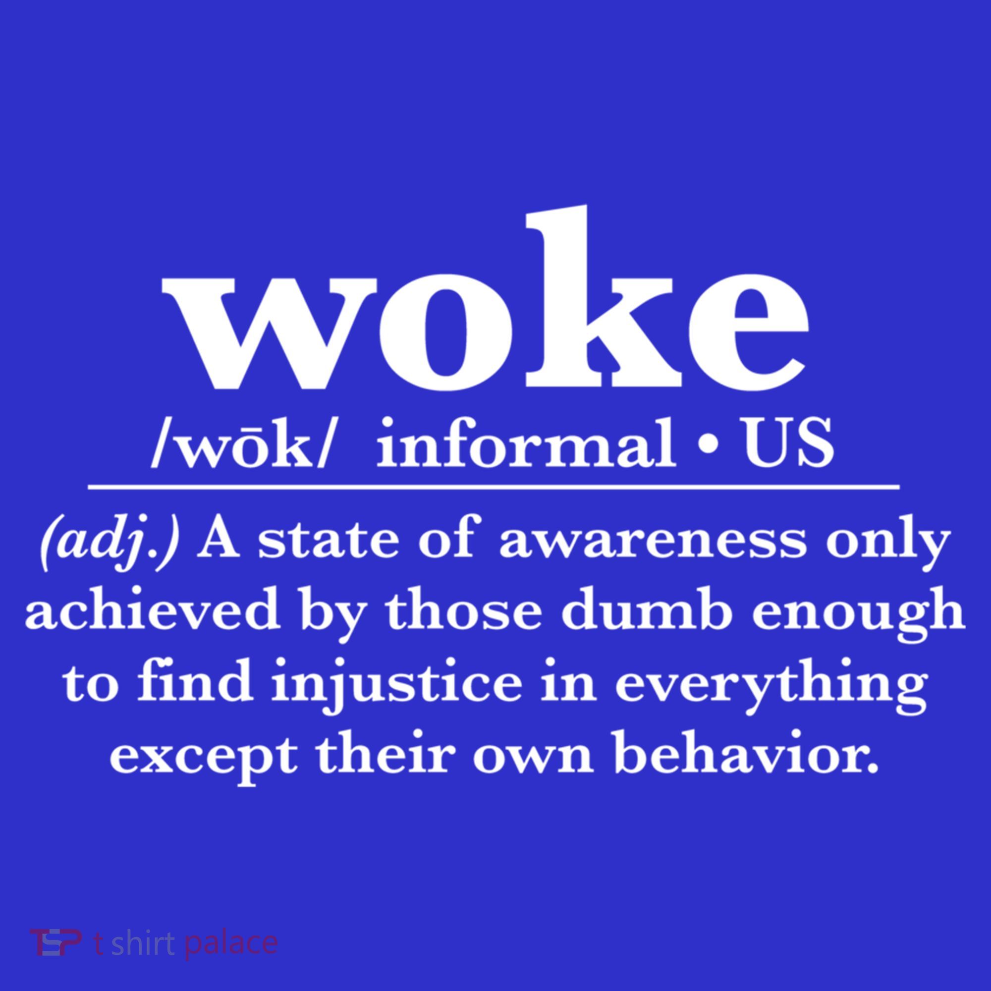 Funny Woke Definition Anti Woke Meme Gift Visor