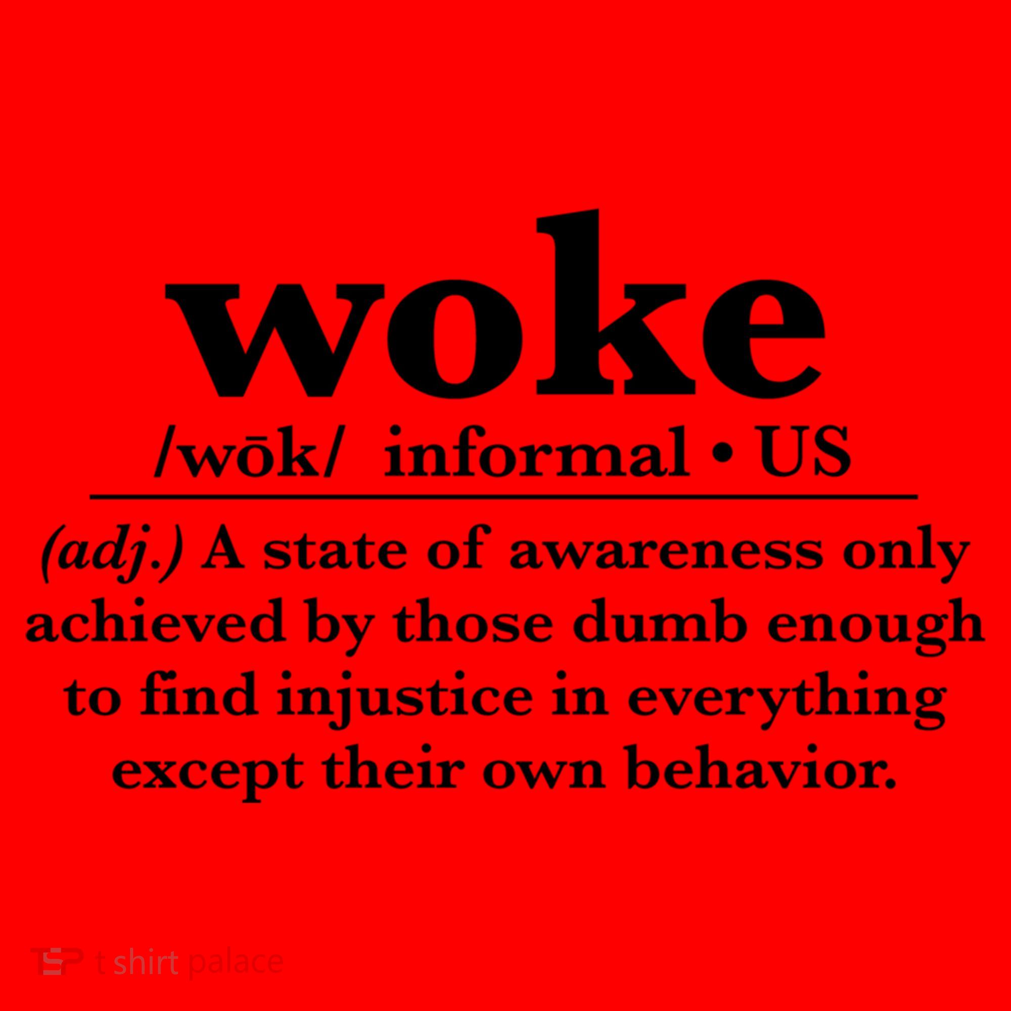 Funny Woke Definition Anti Woke Meme Gift Santa Hat