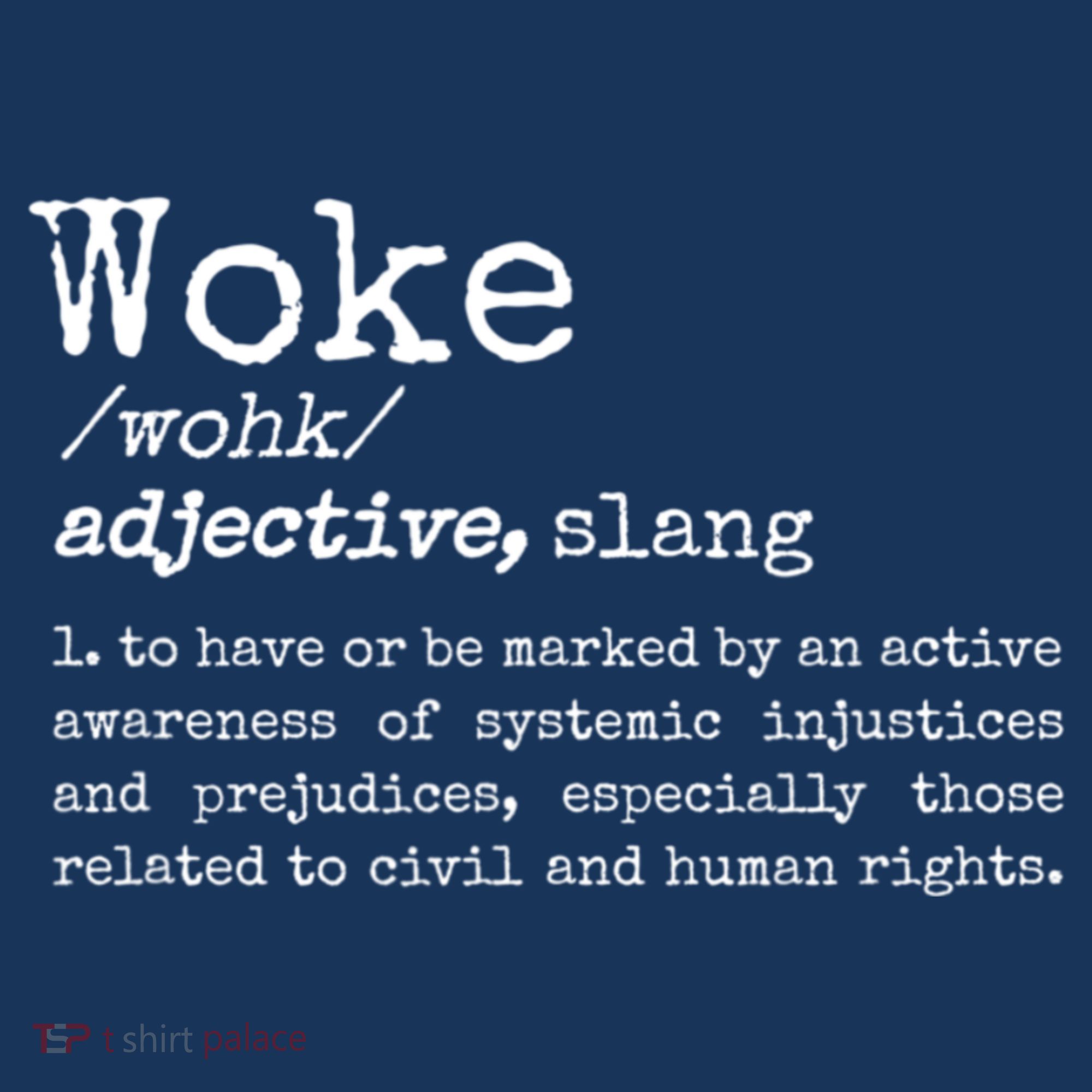 Funny Woke Dictionary Meaning Bucket Hat