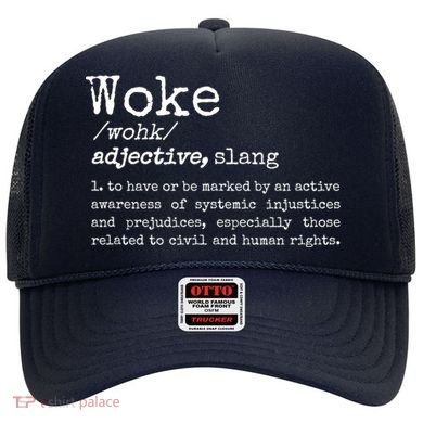 Funny Woke Dictionary Meaning Hat