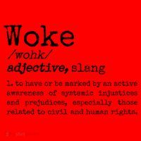 Funny Woke Dictionary Meaning Santa Hat thumb 1