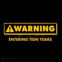 Funny Warning Entering Teen Years Ornament thumb 1