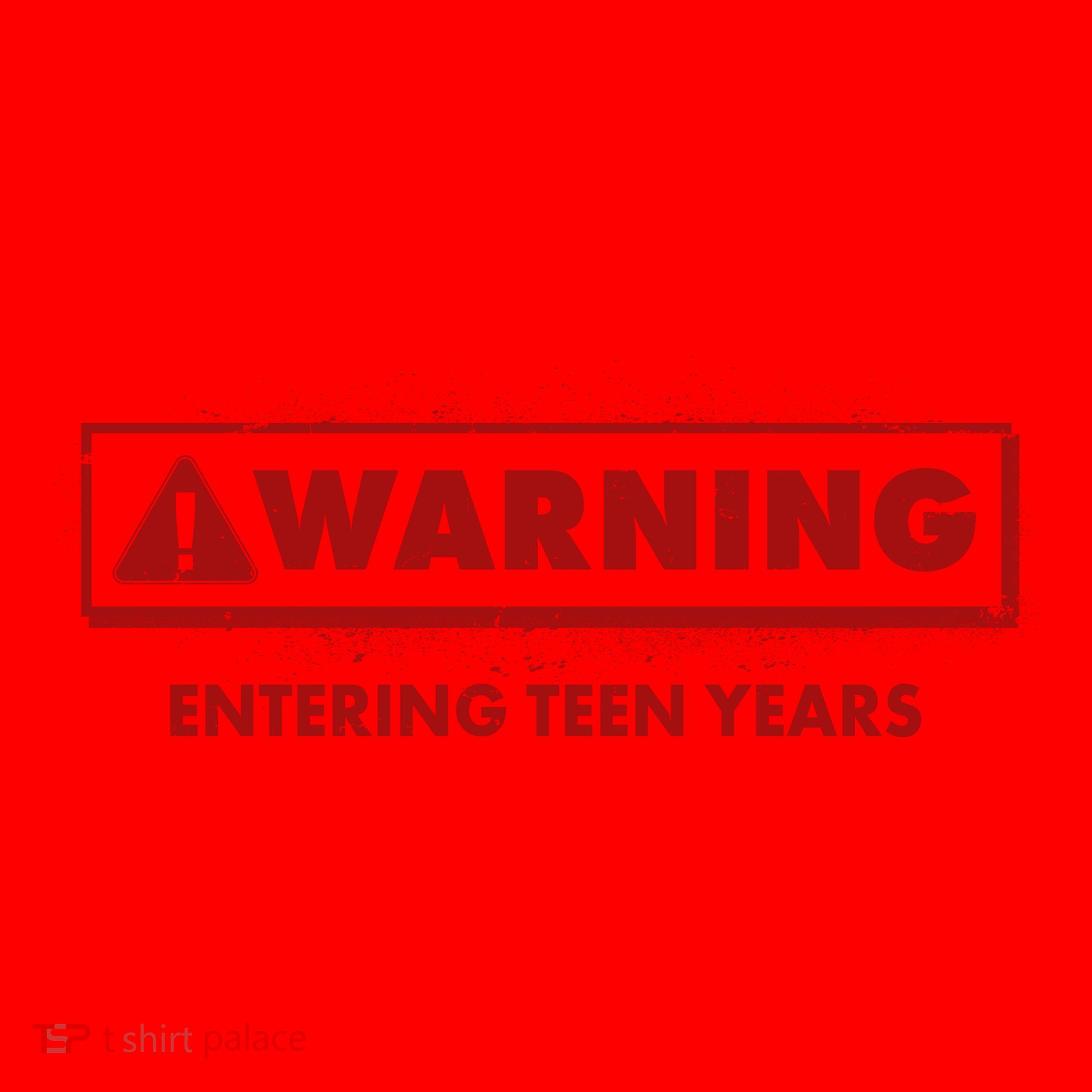 Funny Warning Entering Teen Years Santa Hat