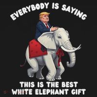 Funny White Elephant Gag Wrapped Elephant Dumb Hoodie thumb 2