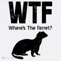Ferret Wtf Funny Where’s The Ferret Women's Hoodie thumb 2