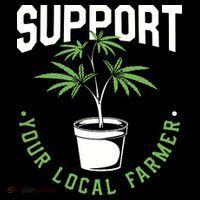 Funny Weed Gift Support Your Local Farmer Local Grower Stripe Pom Pom Beanie thumb 2
