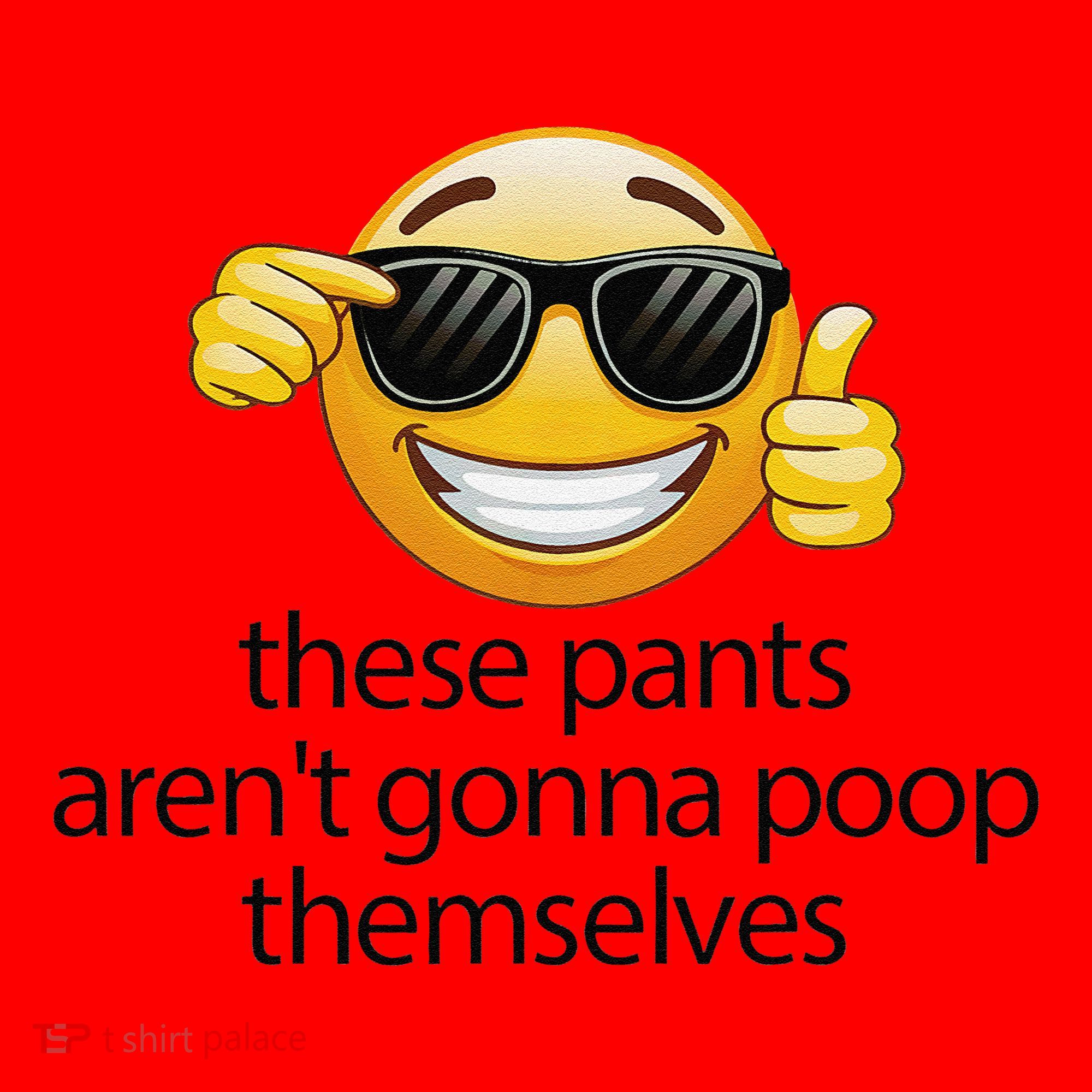 Funny Weird Joke Hilarious Sarcastic Gross Poop Meme Humor Santa Hat