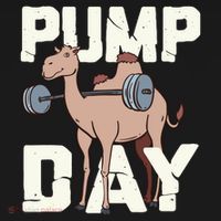 Funny Weight Lifting Hump Day Camel Fitness Humor Women's Tank Top thumb 5